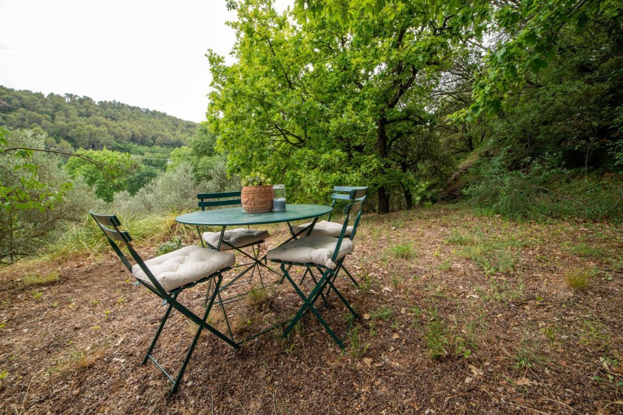 Villa L'Olivier Fleurie Barjols Extérieur photo