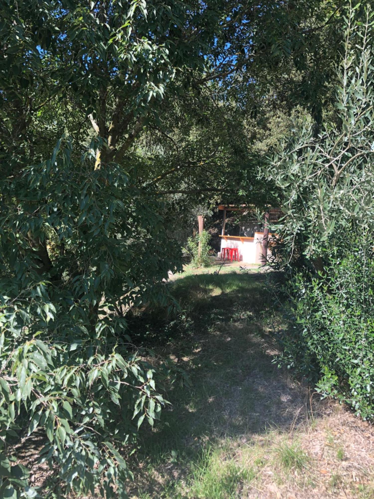 Villa L'Olivier Fleurie Barjols Extérieur photo